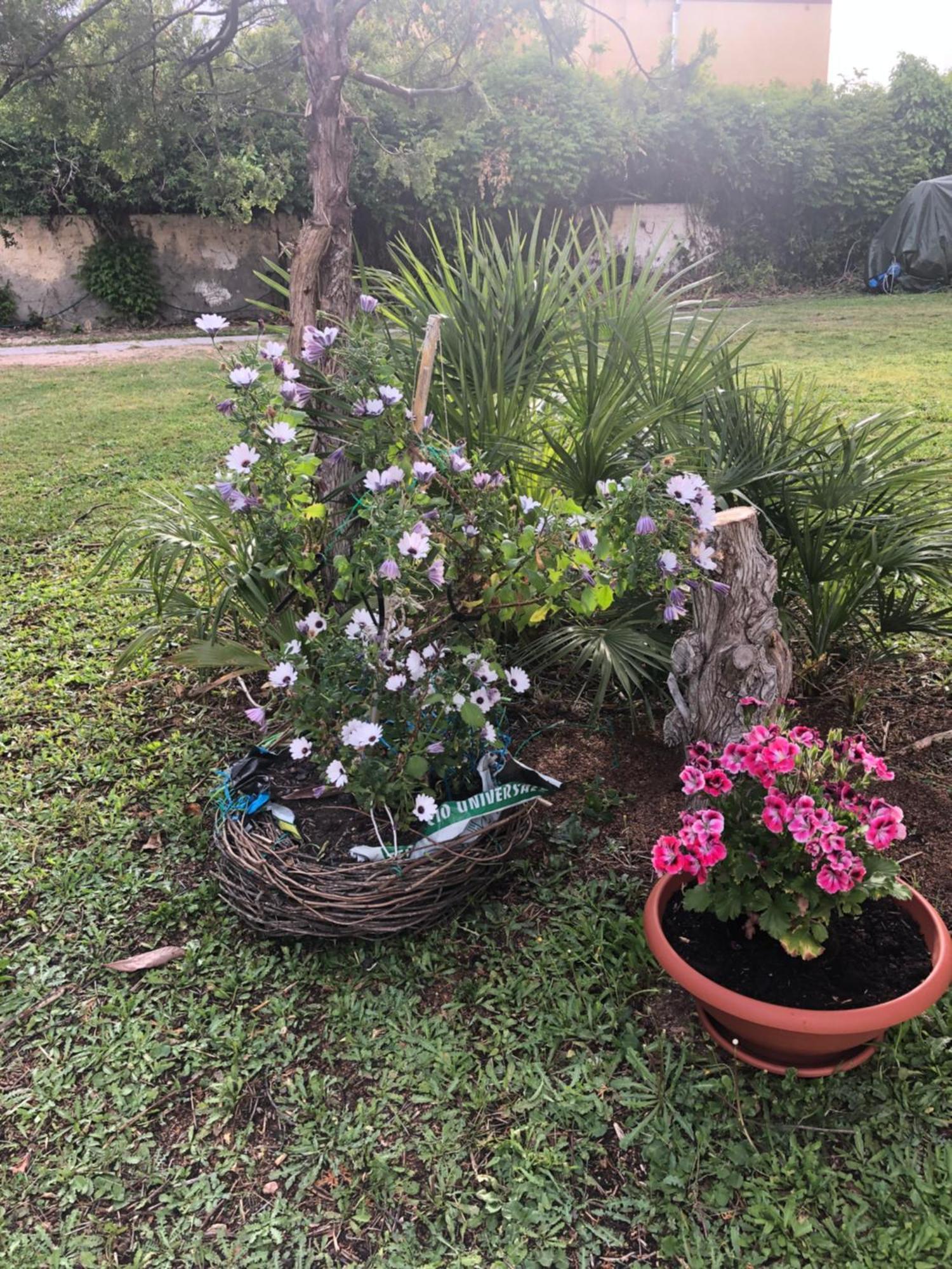 La Lantana Nuova Acomodação com café da manhã Flumini di Quartu Exterior foto